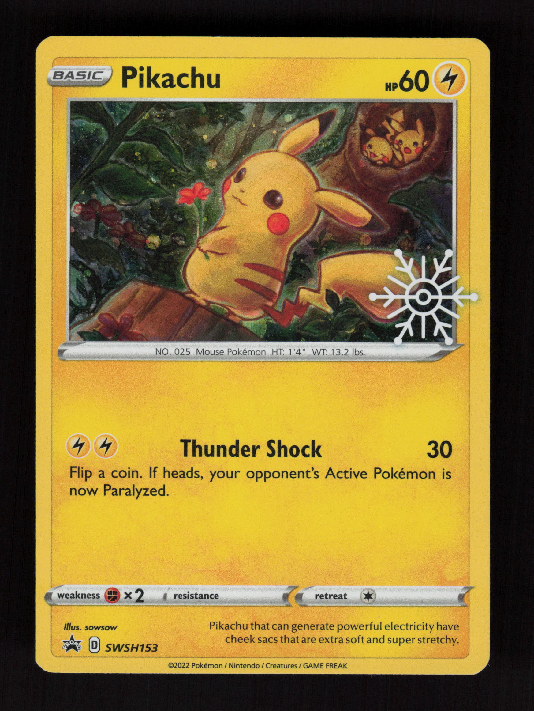 Pikachu - (Holiday Calendar) SWSH153 - Promo - SWSH: Sword & Shield Promo Cards