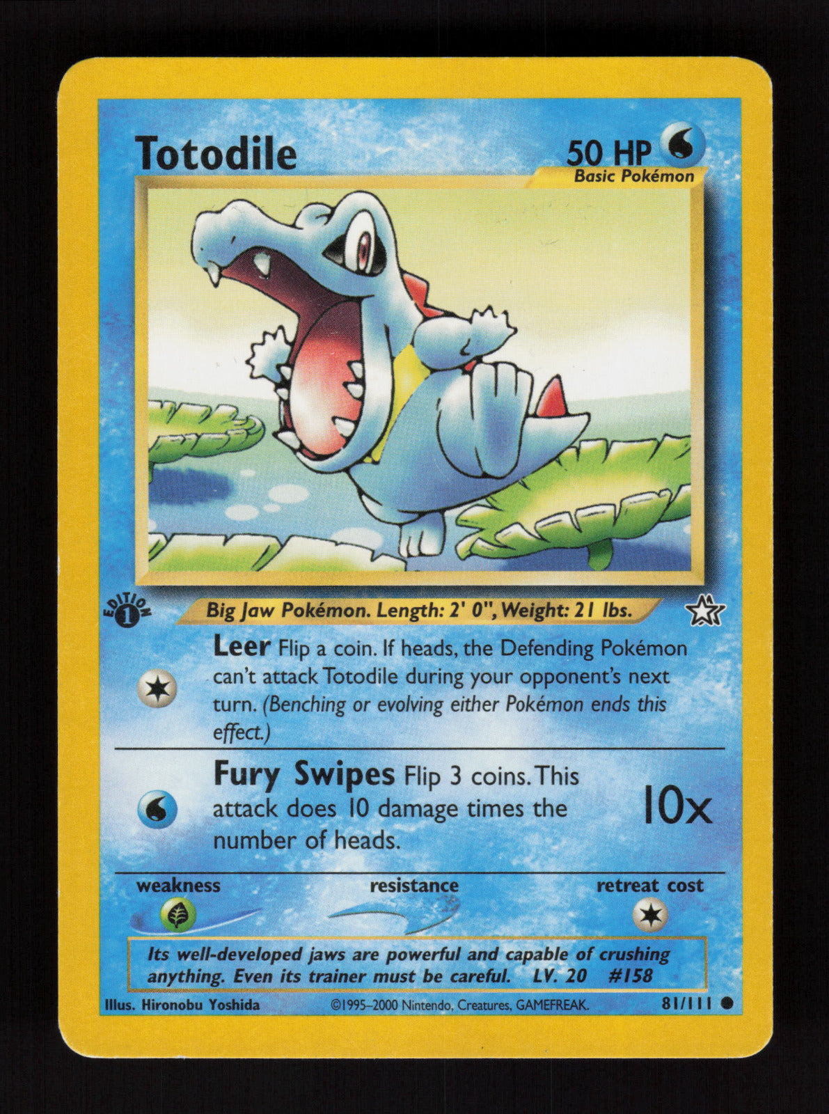 Totodile (81) 081/111 - Common - Neo Genesis