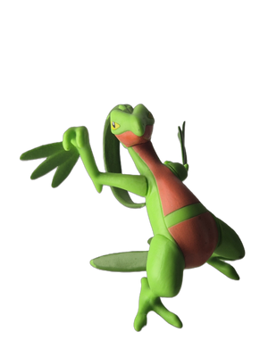 Pokémon : Sceptile - TOMY