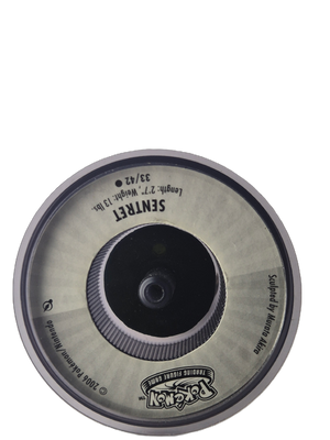 Pokémon : Sentret - TFG 2006