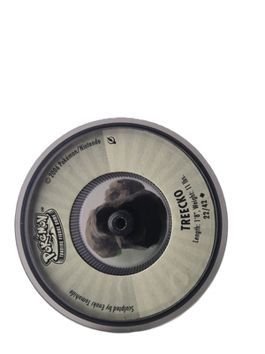 Pokémon : Treecko - TFG 2006