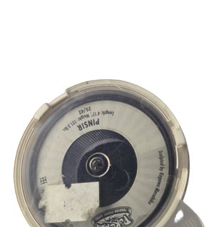 Pokémon : Pinsir - TFG 2009