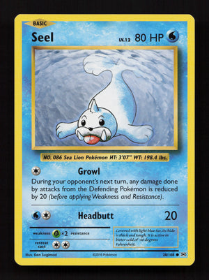 Seel 28/108 – XY Evolutions