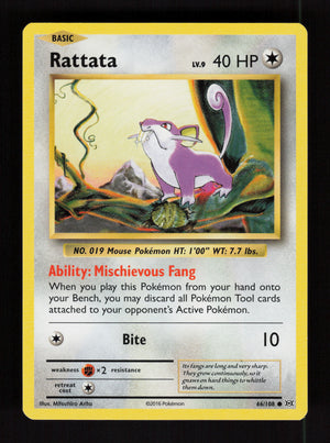 Rattata 66/108  – XY Evolutions
