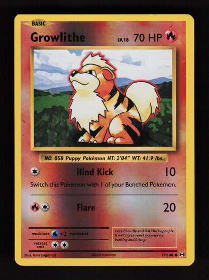 Growlithe 17/108 – Reverse Holo – XY Evolutions