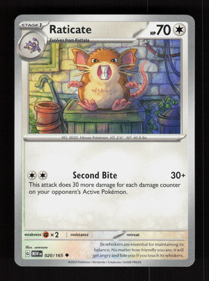 Raticate 020/165 – 151 MEW