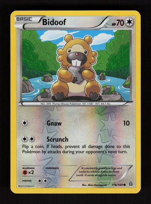 Bidoof 116/160 - Reverse Holo - Primal Clash