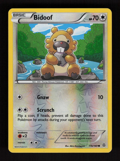 Bidoof 116/160 - Reverse Holo - Primal Clash