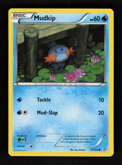 Mudkip 33/160 - Primal Clash