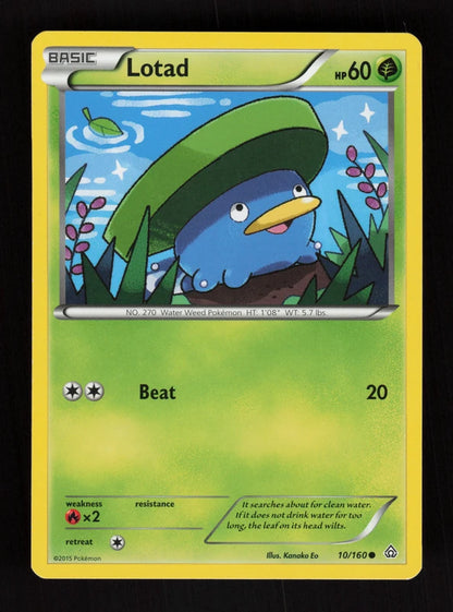 Lotad 10/160 - Primal Clash