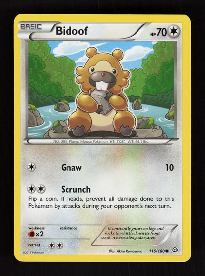 Bidoof 116/160 - Primal Clash