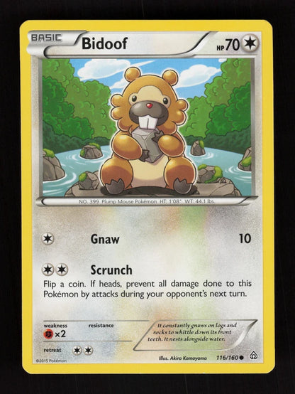 Bidoof 116/160 - Primal Clash