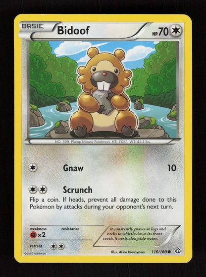 Bidoof 116/160 - Primal Clash