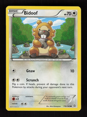 Bidoof 116/160 - Primal Clash