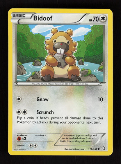 Bidoof 116/160 - Primal Clash