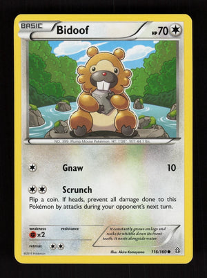 Bidoof 116/160 - Primal Clash