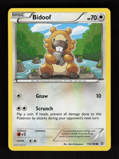 Bidoof 116/160 - Primal Clash