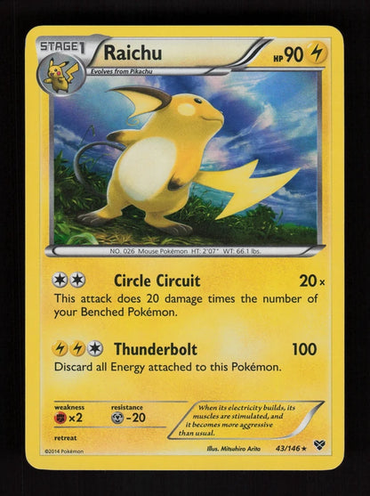 Raichu 43/146 - Holo - XY