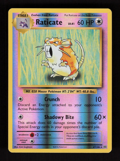 Raticate 67/108 - Reverse Holo - Evolutions