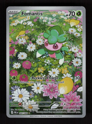 Fomantis 85/84 - Pitch Black