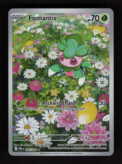 Fomantis 85/84 - Pitch Black
