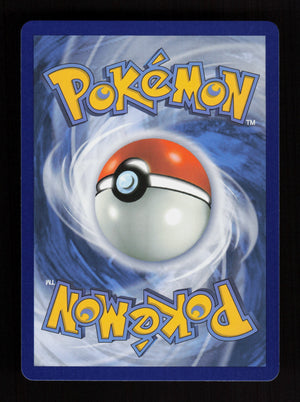 Mega Camerupt ex 022/132 - Double Rare - Mega Evolution