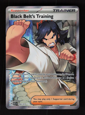 Black Belt's Training 255/217 - Ultra Rare - Ascended Heroes