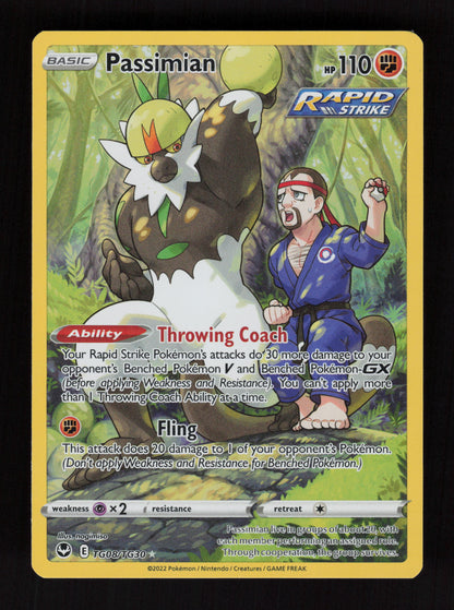 Passimian TG08/TG30 – Silver Tempest Trainer Gallery