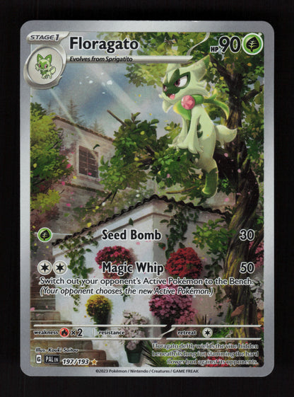 Floragato 197/193 - Illustration Rare - SV02: Paldea Evolved