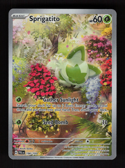 Sprigatito 196/193 - Illustration Rare - SV02: Paldea Evolved