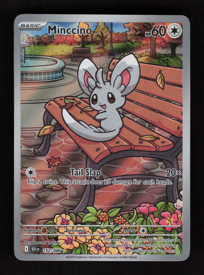Minccino 152/086 - Illustration Rare - Black Bolt