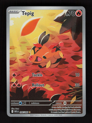 Tepig 096/086 - Illustration Rare - White Flare