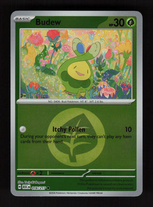 Budew 016/217- Energy Reverse Holo - Ascended Heroes