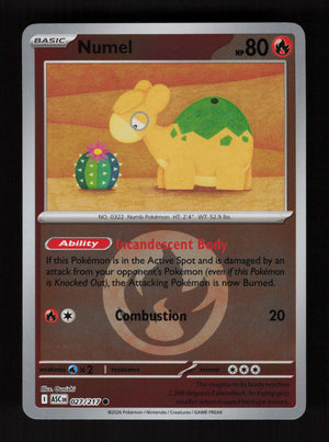 Numel 027/217- Energy Reverse Holo - Ascended Heroes