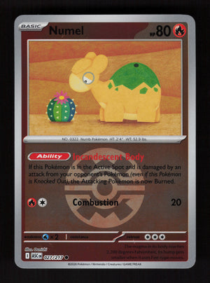 Numel 027/217- Ball Reverse Holo - Ascended Heroes