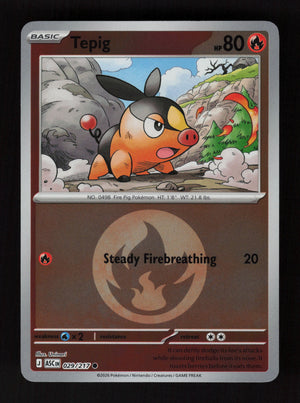 Tepig 029/217- Energy Reverse Holo - Ascended Heroes