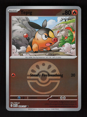 Tepig  029/217- Ball Reverse Holo - Ascended Heroes