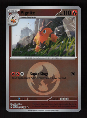 Pignite 030/217- Energy Reverse Holo - Ascended Heroes