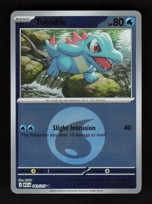 Totodile 041/217- Energy Reverse Holo - Ascended Heroes