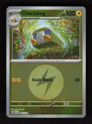 Charjabug 065/217 - Energy Reverse Holo - Ascended Heroes