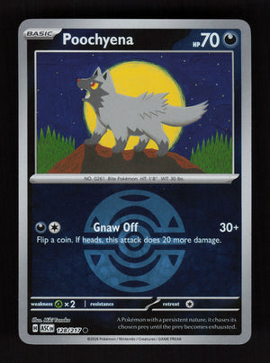 Poochyena 128/217 - Ball Reverse Holo - Ascended Heroes