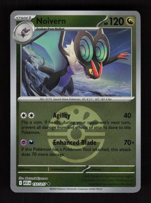 Noivern 157/217 - Ball Reverse Holo - Ascended Heroes