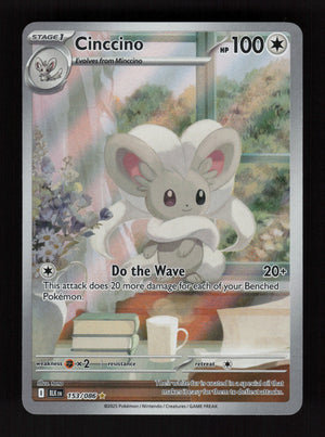Cinccino 153/086 - Illustration Rare - Black Bolt