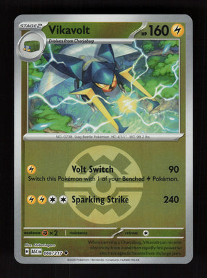 Vikavolt 066/217 - Ball Reverse Holo - Ascended Heroes