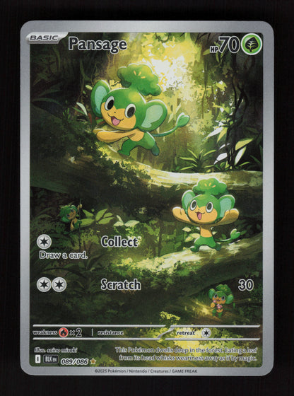 Pansage 089/086 - Illustration Rare - Black Bolt