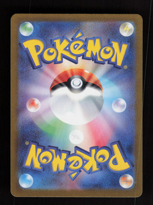 Tapu Bulu 065/064 - Art Rare - SV6a: Night Wanderer