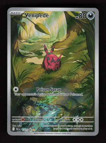 Venipede 132/086 - Illustration Rare - Black Bolt