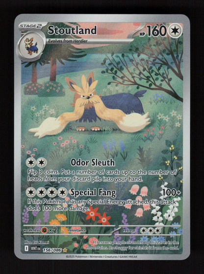 Stoutland 156/086 - Illustration Rare - SV: White Flare