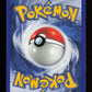 Bayleef 029/111 - 1st Edition - Neo Genesis
