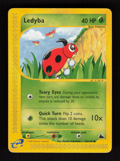 Ledyba 72/144 - Skyridge